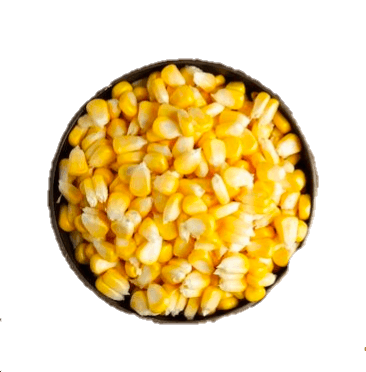 Grains